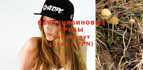 гидра Волоколамск