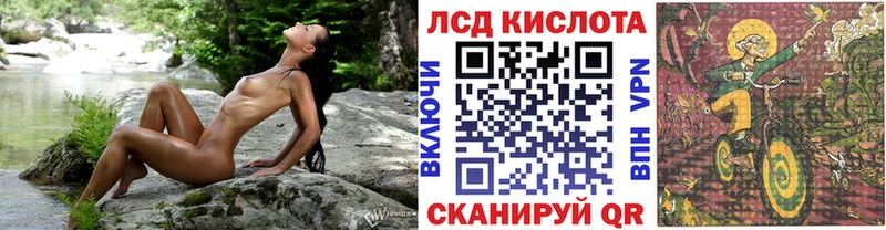 дарнет шоп  Елец  Марки 25I-NBOMe 1500мкг 